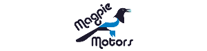 MAGPIE MOTORS LLC